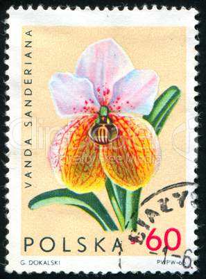 postage stamp