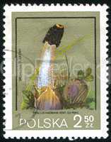 postage stamp