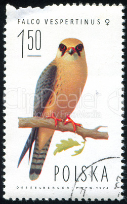 postage stamp