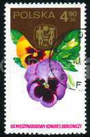 postage stamp