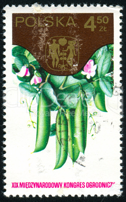 postage stamp