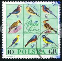 postage stamp