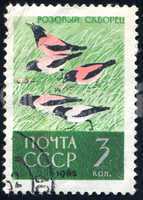 postage stamp