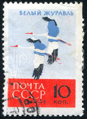 postage stamp