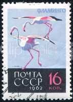 postage stamp