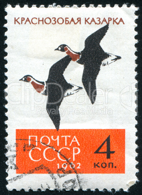 postage stamp