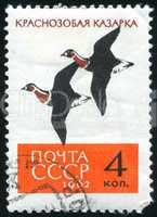 postage stamp