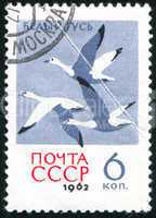 postage stamp