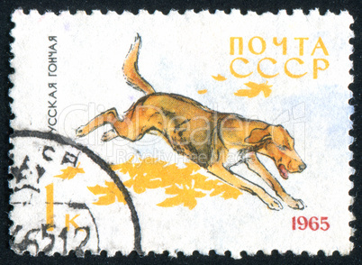 postage stamp