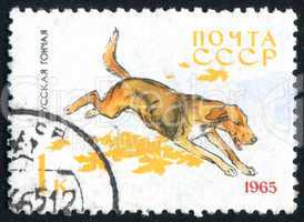 postage stamp