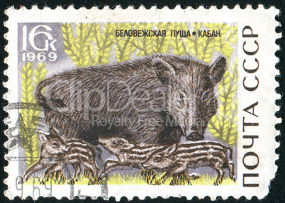 postage stamp