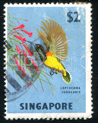 postage stamp