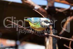 ceramic bird on a branch at the fair