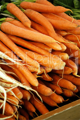 Carrots