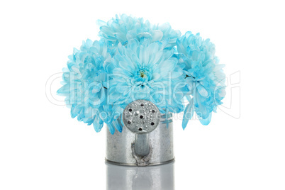 Watering can with blue flowers