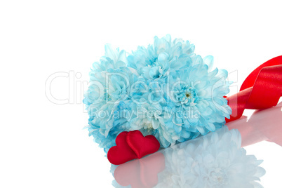 Blue chrysanthemums with two red hearts