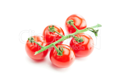 bunch of tomato isolated on white