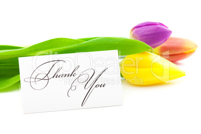 colorful tulips and a card signed thank you isolated on white