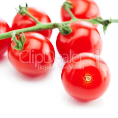 bunch of tomato isolated on white