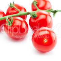 bunch of tomato isolated on white