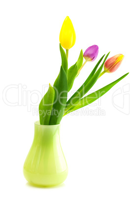 colorful tulips in vase isolated on white