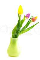 colorful tulips in vase isolated on white