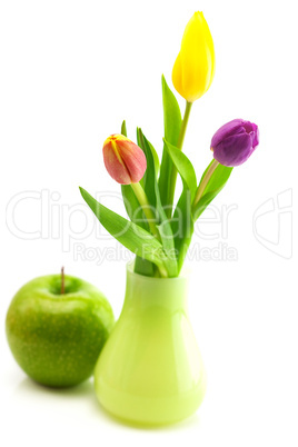 colorful tulips in vase and apple isolated on white