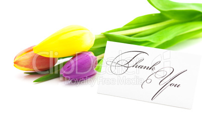 colorful tulips and a card signed thank you isolated on white