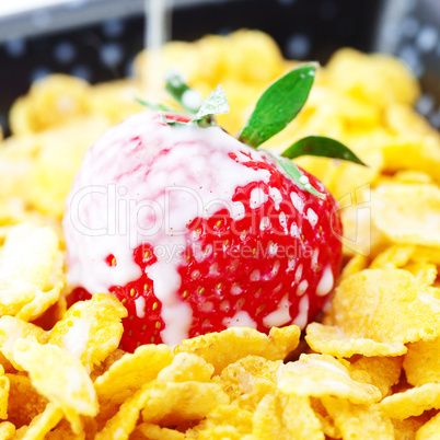 strawberry,milk and flakes in a bowl isolated on white