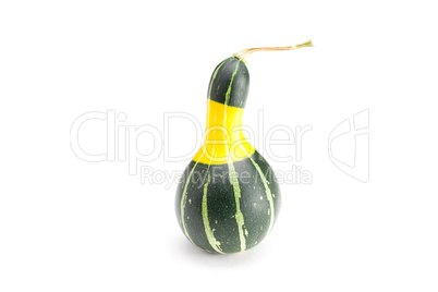 yellow green china pumpkin isolated on white