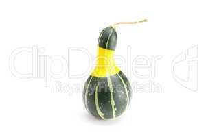 yellow green china pumpkin isolated on white