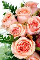 Pink roses