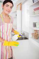 Brunette woman cleaning a cupboard