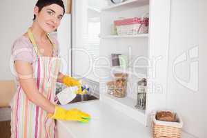 Beautiful woman cleaning a cupboard