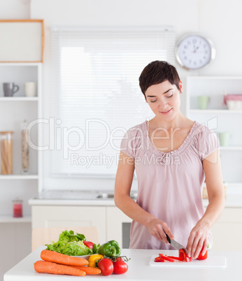 Gorgeous woman cutting vegetables