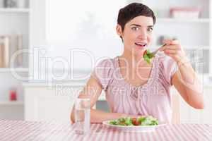 Charming  Woman eating salad