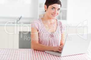 Gorgeous Woman working with a laptop