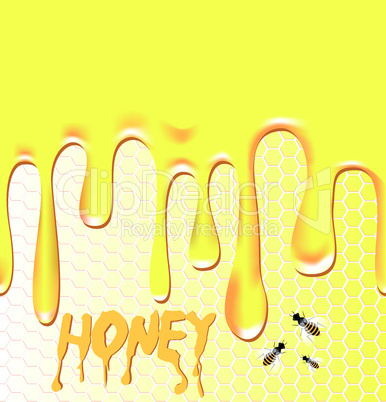 Honey background.