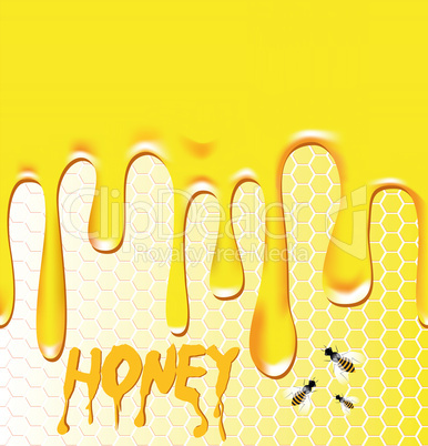 Honey background with honeycomb, bee, wax.