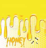 Honey background with honeycomb, bee, wax.