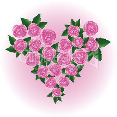 Pink rose heart