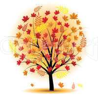 Beautiful autumn tree.