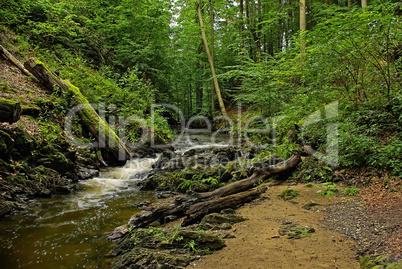 Die Prießnitz, Dresdner Heide, Dresden-Klotzsche, Sachsen, Deuts