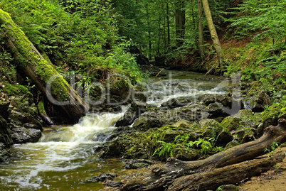 Die Prießnitz, Dresdner Heide, Dresden-Klotzsche, Sachsen, Deuts