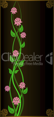 Flowers on a black background.