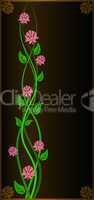 Flowers on a black background.