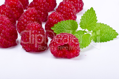 Himbeere (Rubus idaeus)