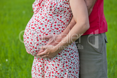 Husband hands on pregnant woman belly