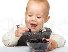 Little boy is eating blackberry