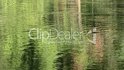 River reflection close-up